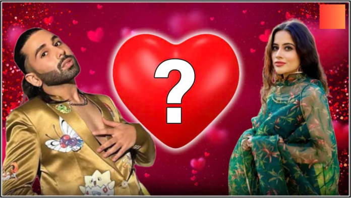 Urfi Javed New Video Viral : Has Urfi Javed fallen in love with Orry? Screaming testimony while giving clothes