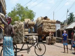 Budget Expectations 2025: Bengal's jute industry is in crisis, now seeking help from the Centre