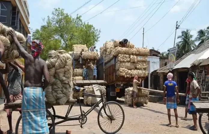 Budget Expectations 2025: Bengal's jute industry is in crisis, now seeking help from the Centre