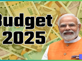 Budget 2025 : India's first budget was presented in the year 1860, do you know who read the first budget of independent India?