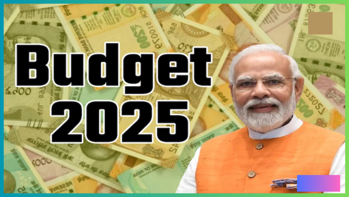 Budget 2025 : India's first budget was presented in the year 1860, do you know who read the first budget of independent India?