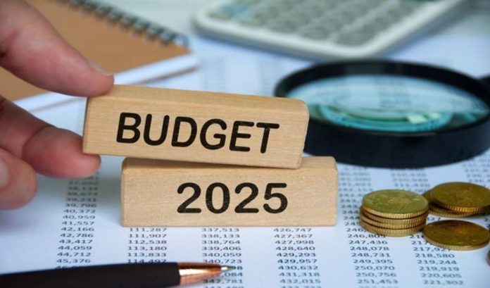 Maharashtra Budget 2025: Big provision for Mumbai in the budget, 7 international standard commercial centers to be built