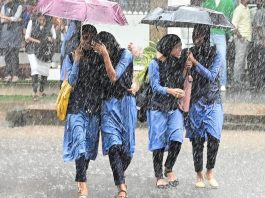 Maharashtra Weather Update: There will be heavy rain for three days, IMD alert in these cities; Know what the weather will be like